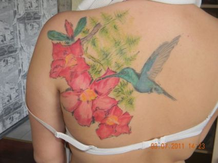 Humming Bird Tattoo Picture Design